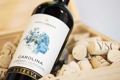 Phản hồi và đánh giá về rượu vang Santa Carolina Reserva Sauvignon Blanc 2021